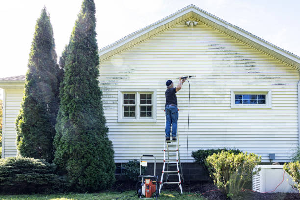 Best Sidewalk and Walkway Cleaning  in Kingsley, MI